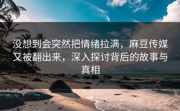 没想到会突然把情绪拉满，麻豆传媒又被翻出来，深入探讨背后的故事与真相